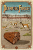 Petrified Forest National Park Poster