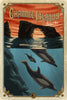 Channel Islands National Park Poster