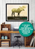Bighorn Sheep Poster