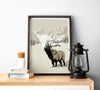 Rocky Mountain National Park Art Print