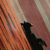 Sequoia National Park Poster