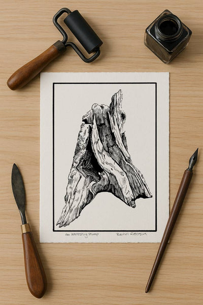 An Interesting stump print