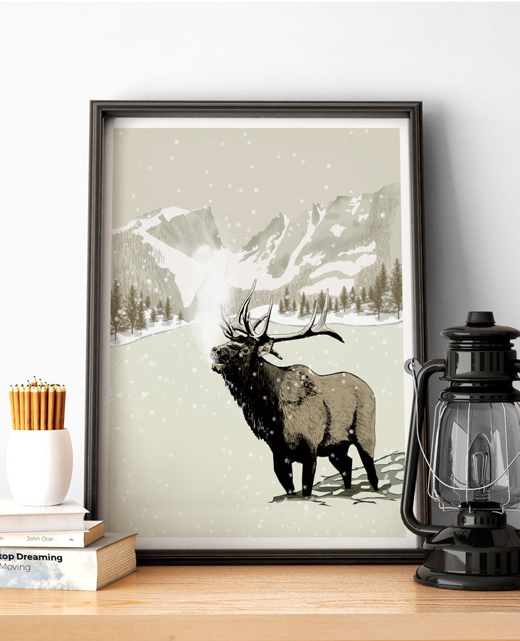 rocky mountains national park poster